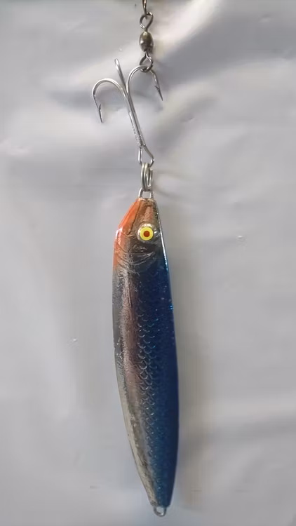 Kustdrag Norge Pilken