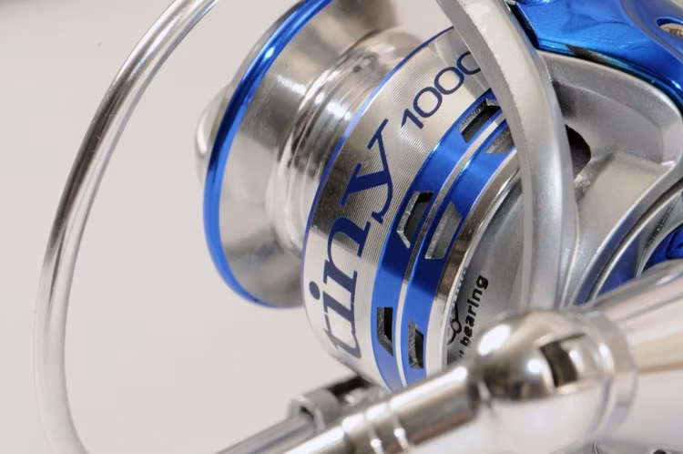 Albatros Tiny 1000FD 4BB