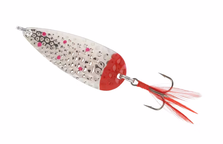 Colonel lake trout spoon