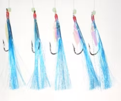 Häckla Nr. 77029079