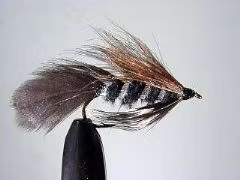 4412-5  L/S Streamer Ace Of Spade