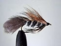 4412-5  L/S Streamer Ace Of Spade