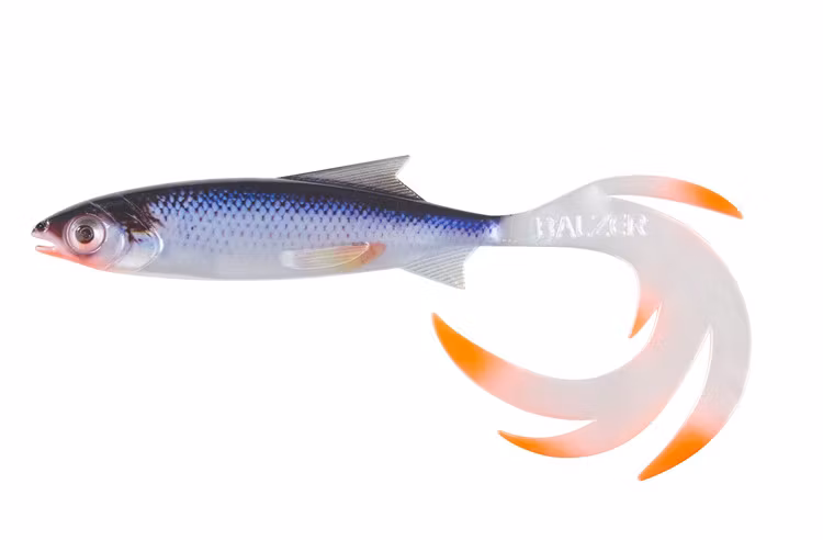 Reptile Shad Baltzer