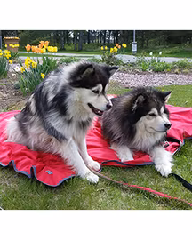 Filt 142x188 cm / röd