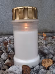 Gravljus