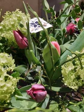 Tulpanbukett Alla❤dag