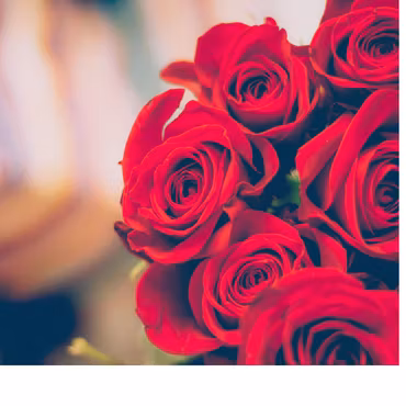 Röd ros Alla❤️dag