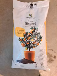 Citrus jord