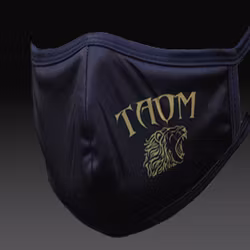 Taom Mask