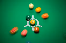 Original Turtle Rack