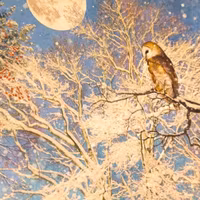 Card "OWL" from BUG art