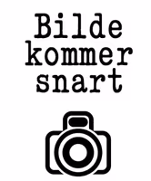 TIGER C2-PH Purple Heart and Curly Maple