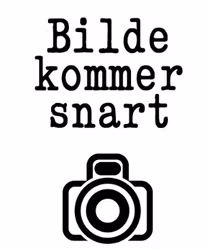 TIGER C2-PH Purple Heart and Curly Maple