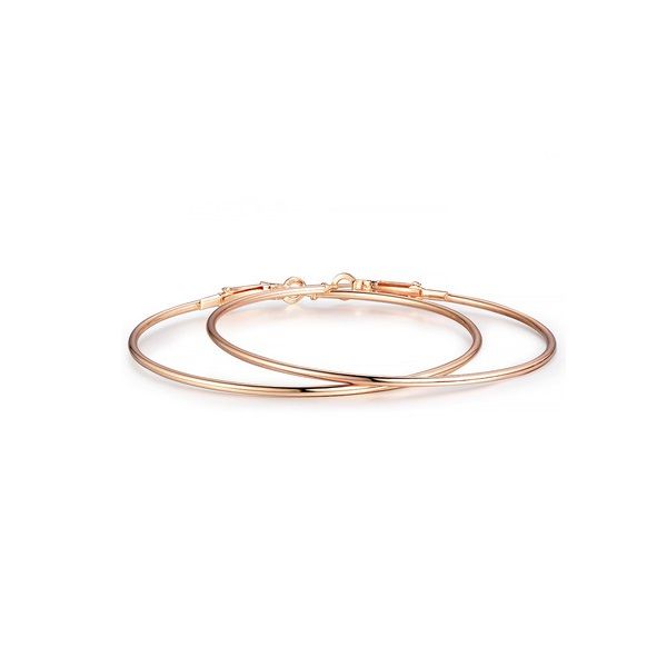 Örhänge Ringar 5 cm