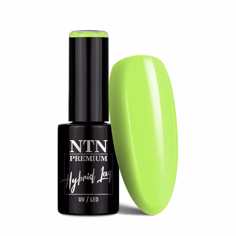 NTN Gellack nr 379 - 5g