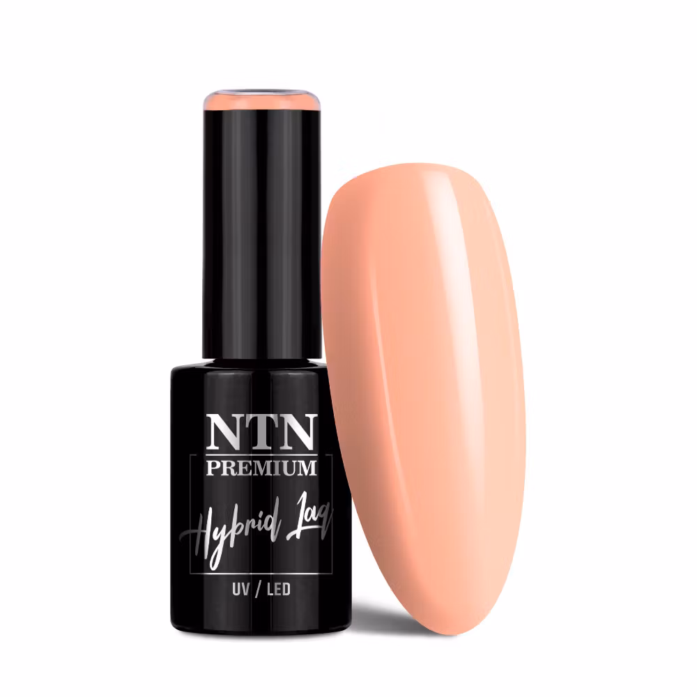 NTN Gellack nr 333 - 5g