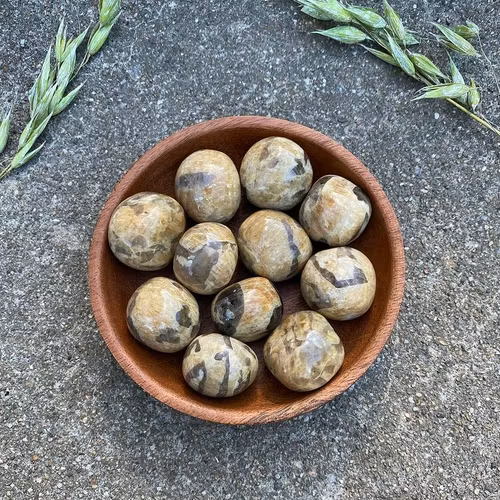 Zebradorit "kramis"/cuddle