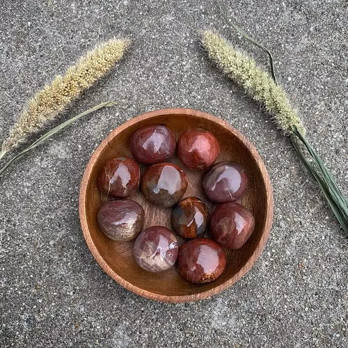 Förstenat trä "kramis"/cuddle