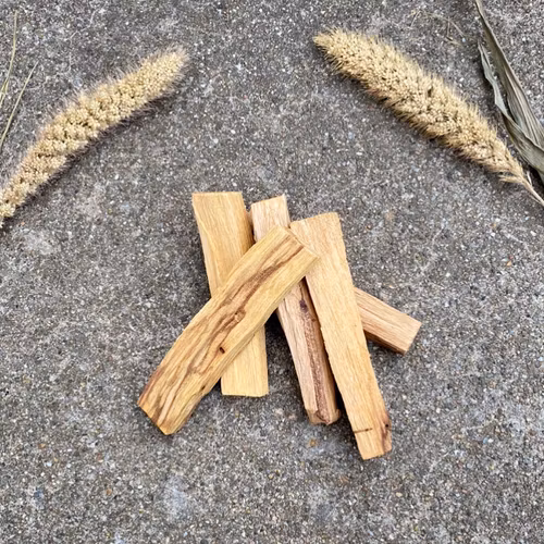 Palo Santo (bunt med 5 st)
