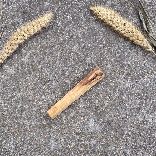 Palo Santo pinne (1 st)