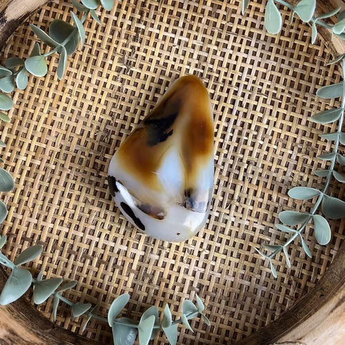 Kraftsten av dendritagat