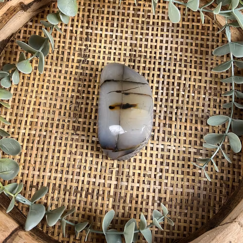 Kraftsten av dendritagat