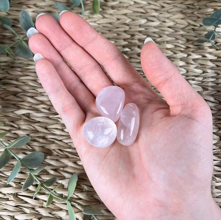 Rosenkvarts trumlad (mellan) transparent