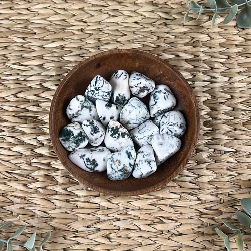 Trädagat trumlad (mellan)