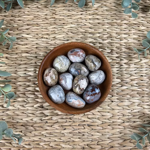 Crazy lace agat ”kramis”/cuddle