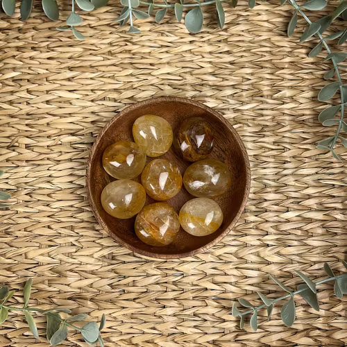 Golden healer ”kramis”/cuddle