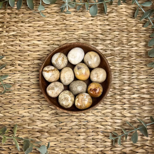 Petoskey (förstenad korall) ”kramis”/cuddle