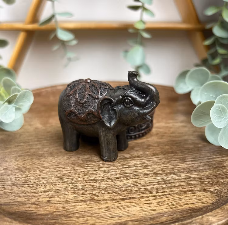 Ljushållare baby-elefant