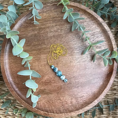 Cassiopeja med Trädagat