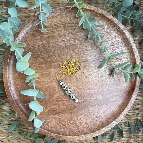 Cassiopeja halsband med Dalmatinerjaspis