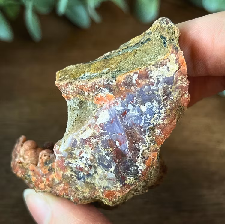 Berberagat geodhalva D