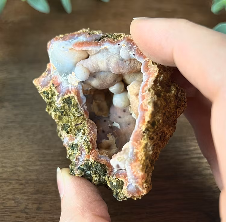Berberagat geodhalva E