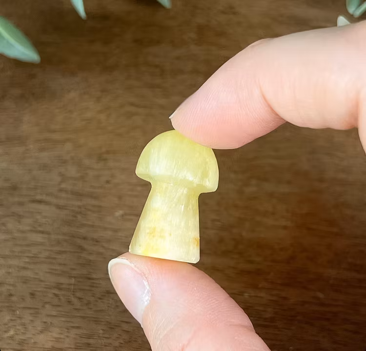 Citronkalcit liten svamp