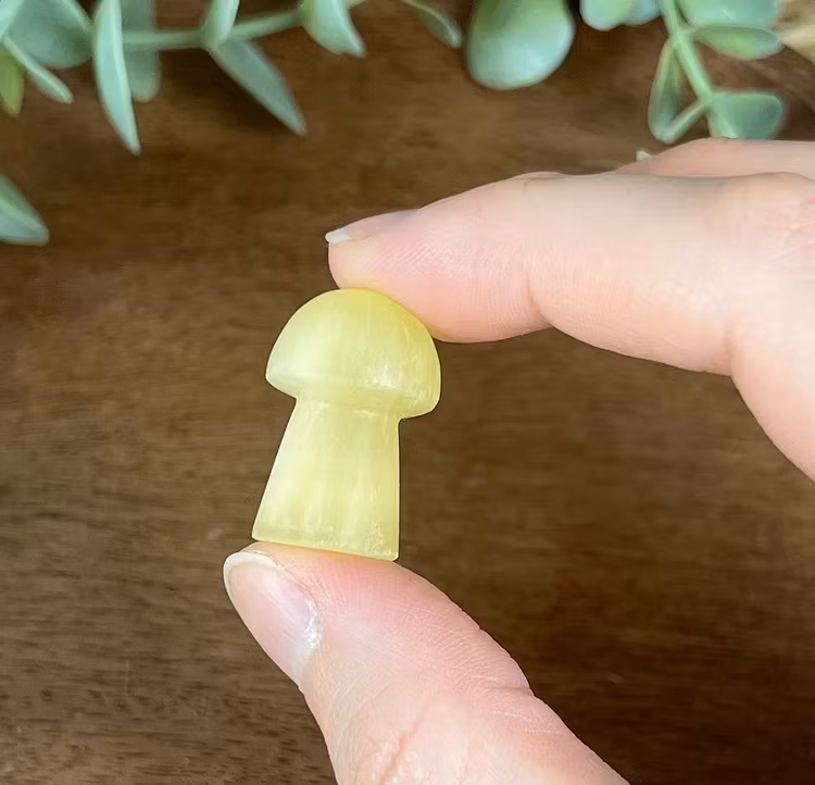 Citronkalcit liten svamp