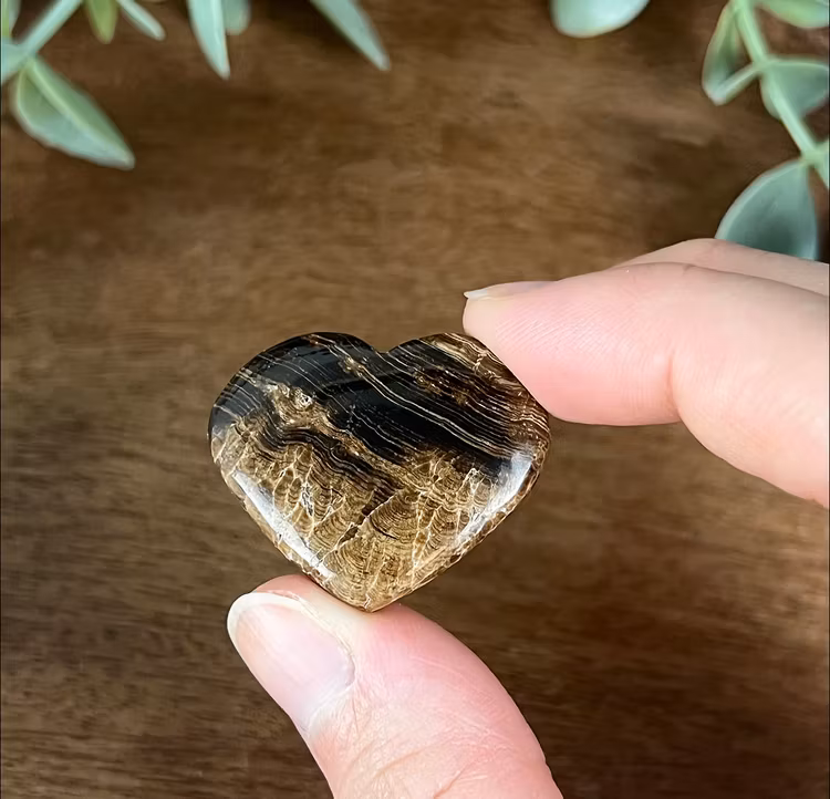 Chokladkalcit mindre hjärta