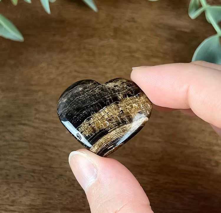 Chokladkalcit mindre hjärta