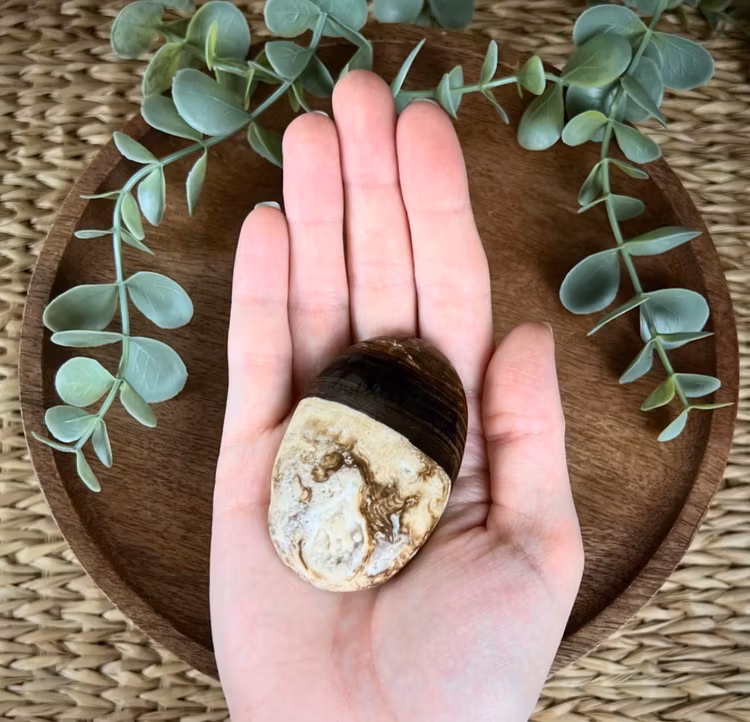 Chokladkalcit meditationssten (handsten) G