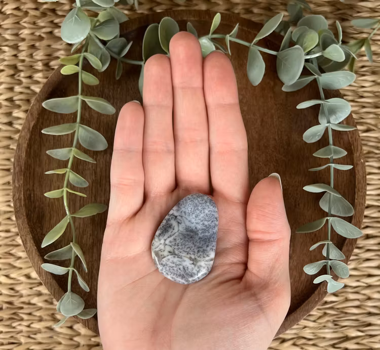 Dendritopal/kalcedon platta C