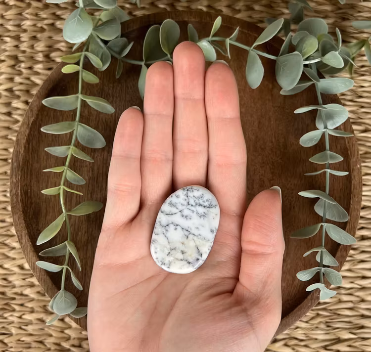 Dendritopal/kalcedon platta D