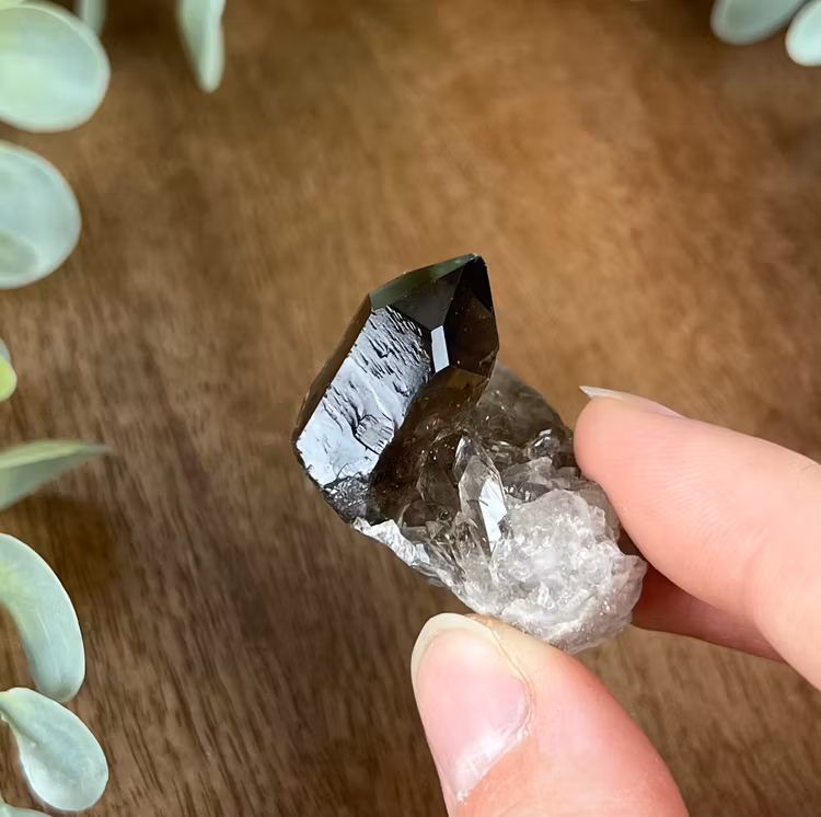Rökkvarts kluster mindre