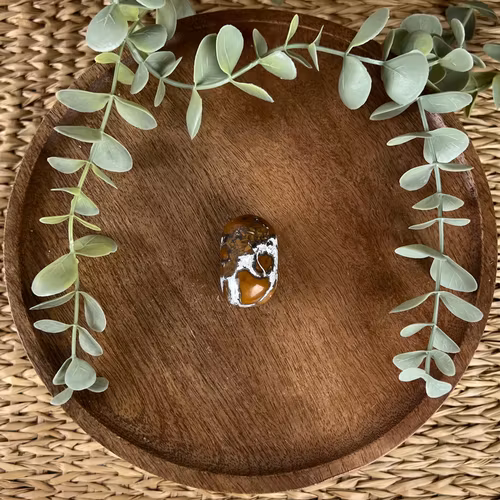 Brecci Jaspis ”kramis”/cuddle C