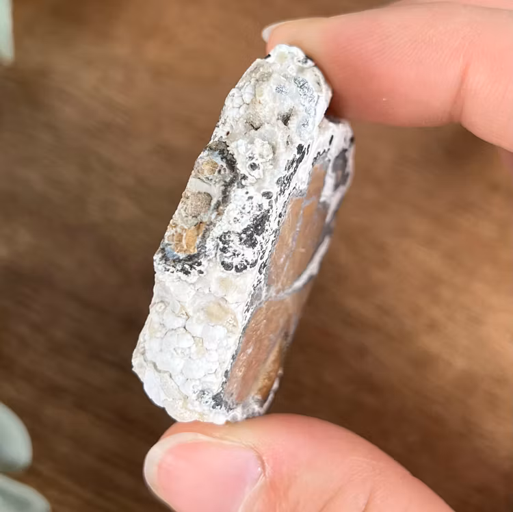 Brecci Jaspis rå bit C