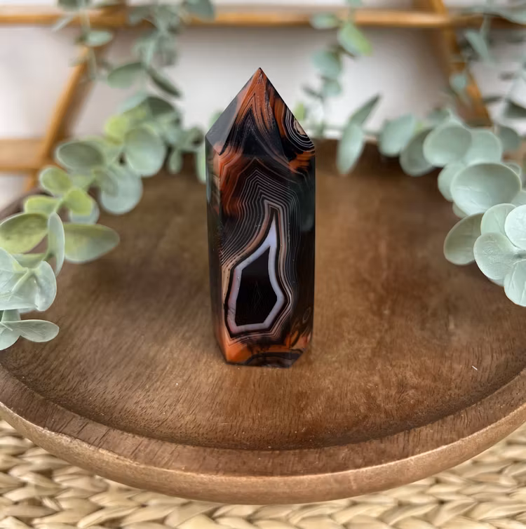 Sardonyx torn B