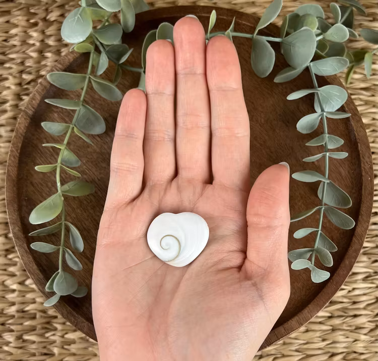 Shiva eye hjärta F