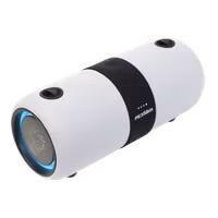 PEXMAN PM-10W