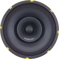 Ground Zero GZCM 10.0SPL